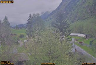 Bucheben Impression